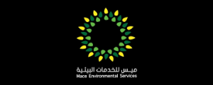 Mace International Logo