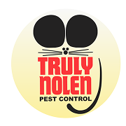 sassico testimonial image